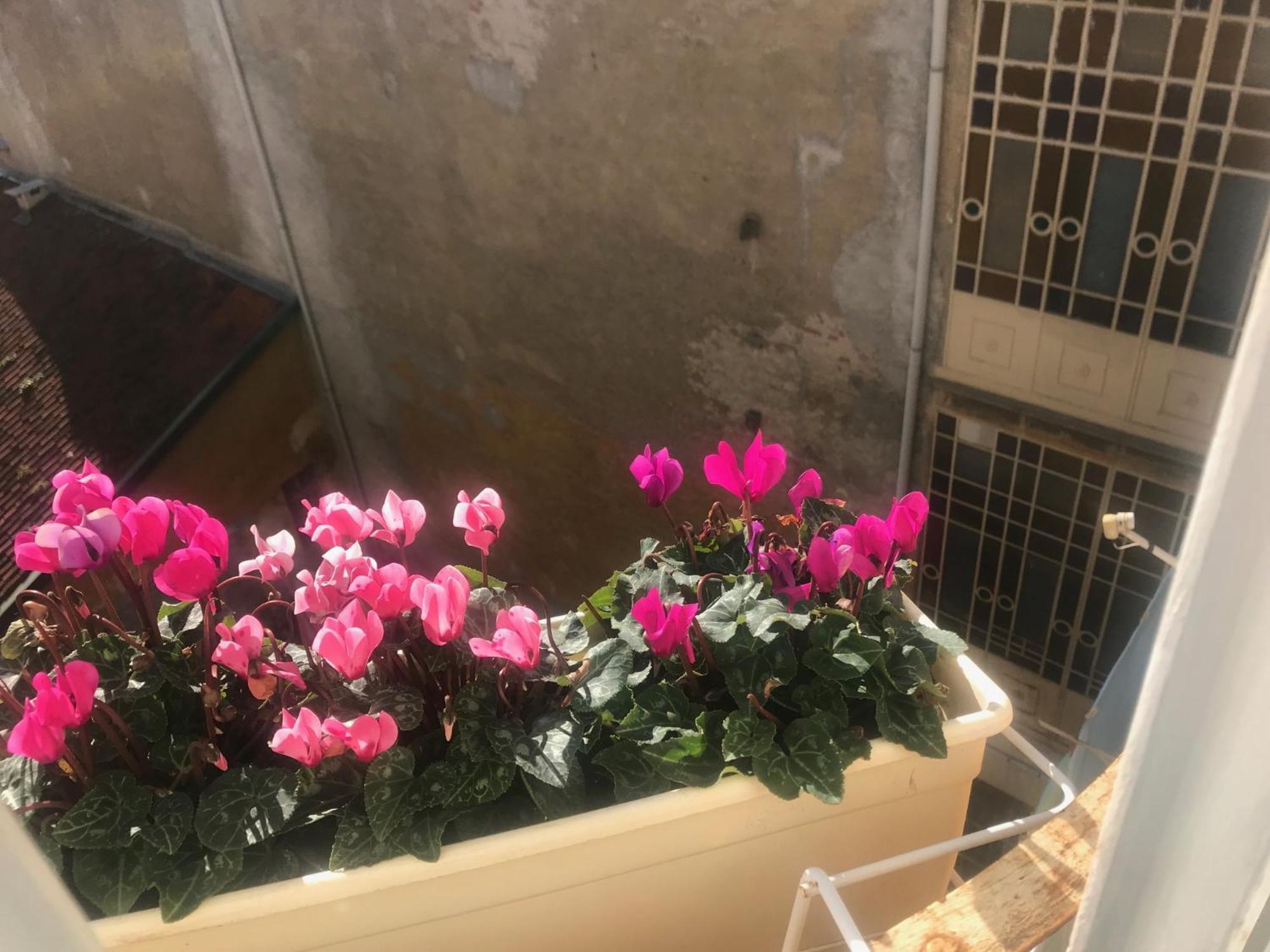 A Due Passi Dal Duomo Otel Biella Dış mekan fotoğraf